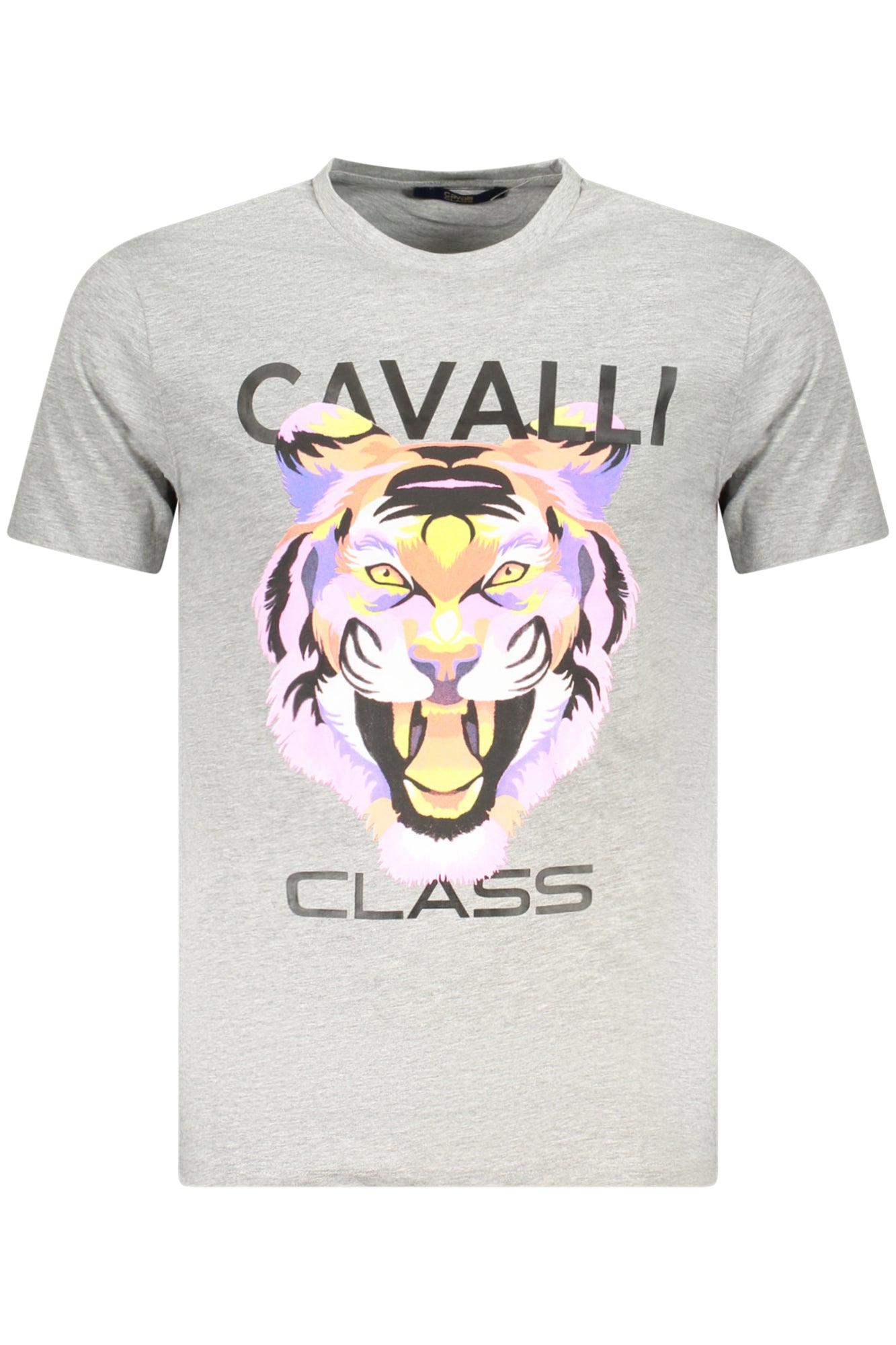 CAVALLI CLASS T-Shirts Grey - TXT60FJD060