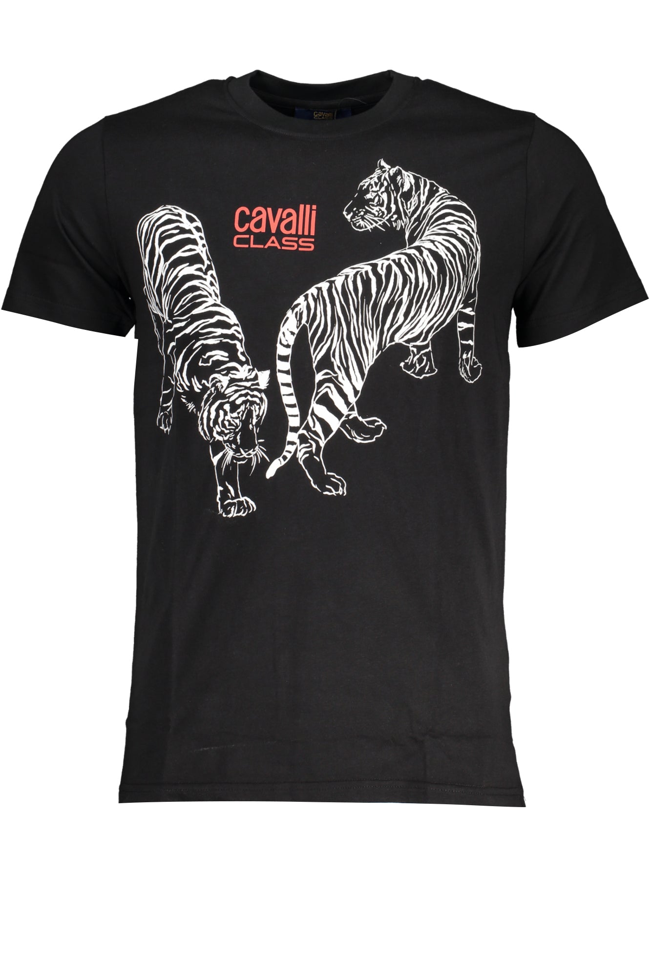 CAVALLI CLASS T-Shirts Black - QXT62YJD060