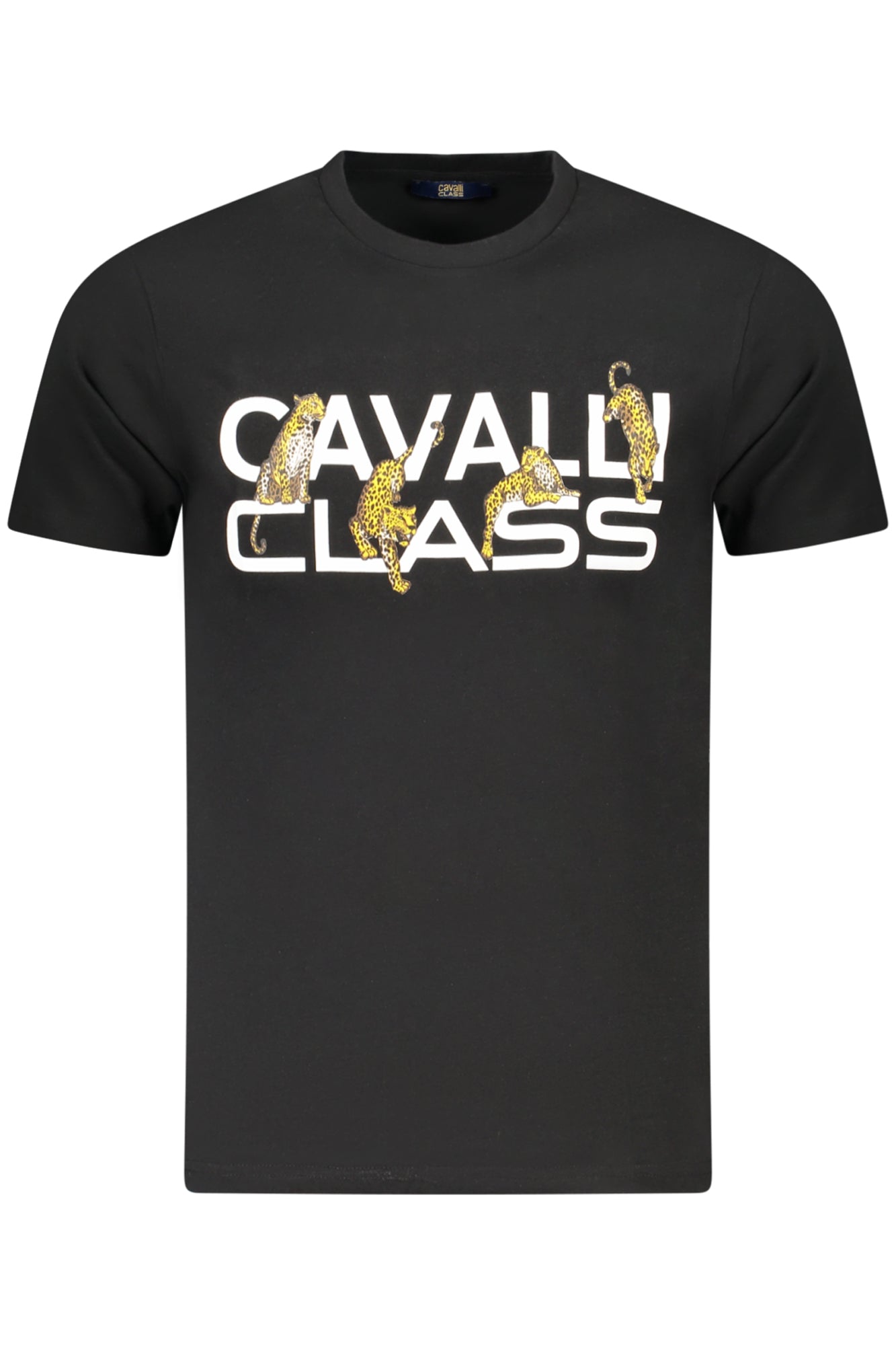 CAVALLI CLASS T-Shirts Black - TXT60MJD060