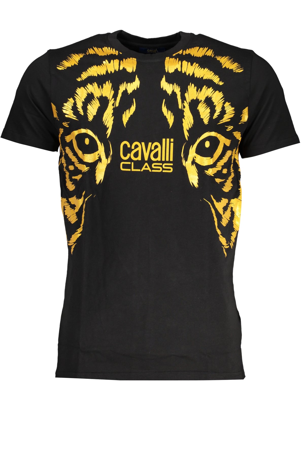 CAVALLI CLASS