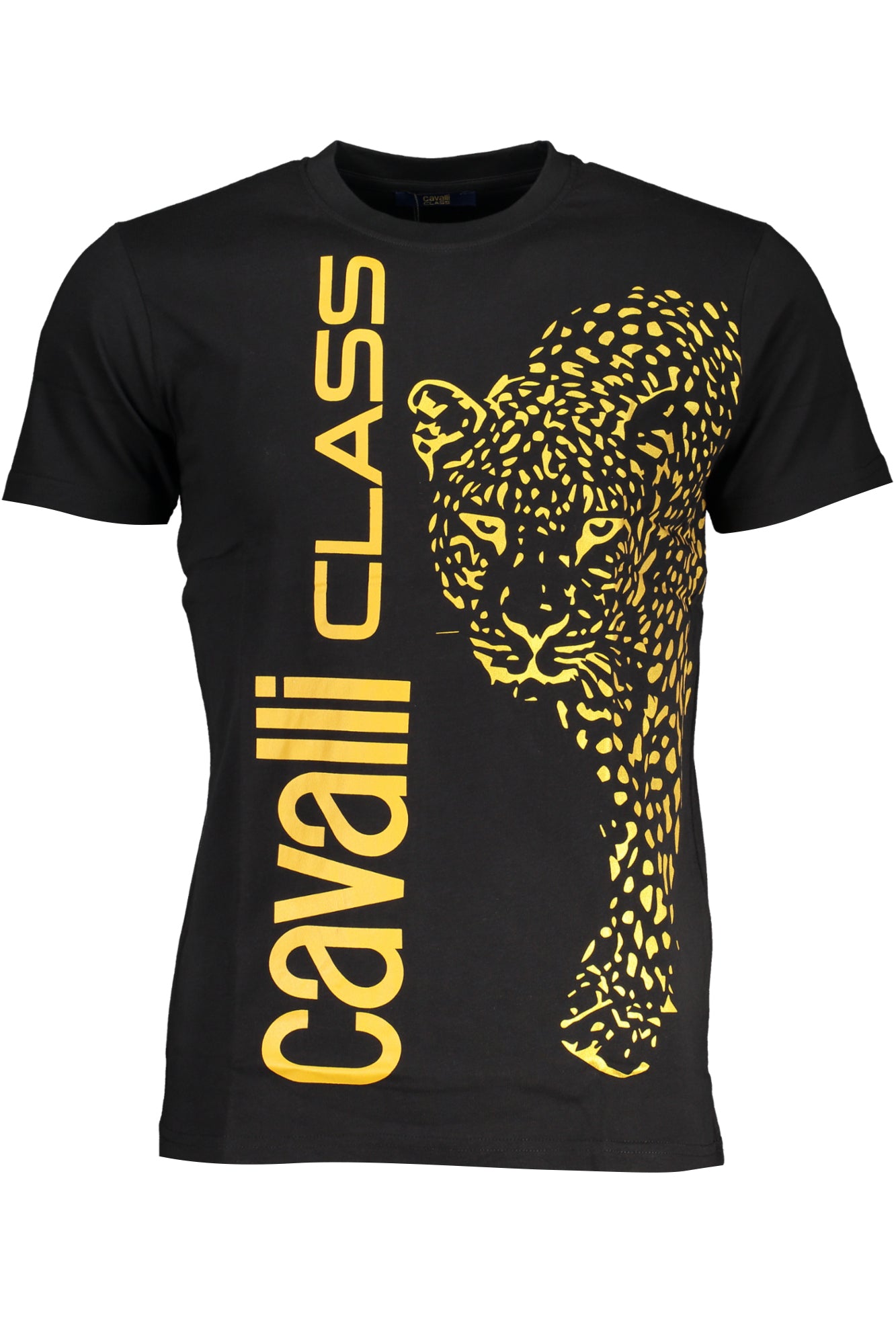 CAVALLI CLASS