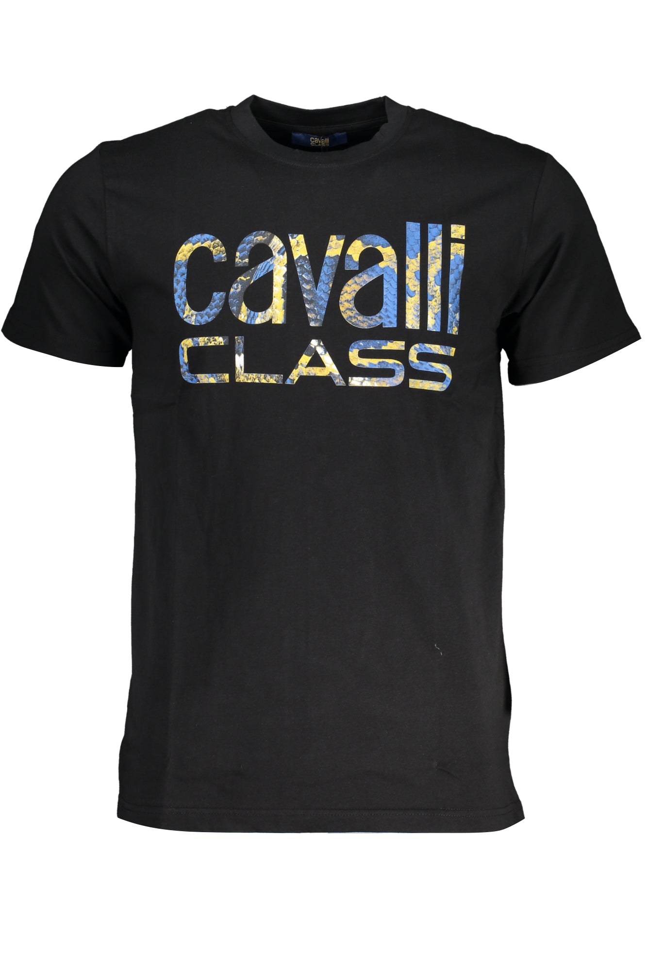 CAVALLI CLASS