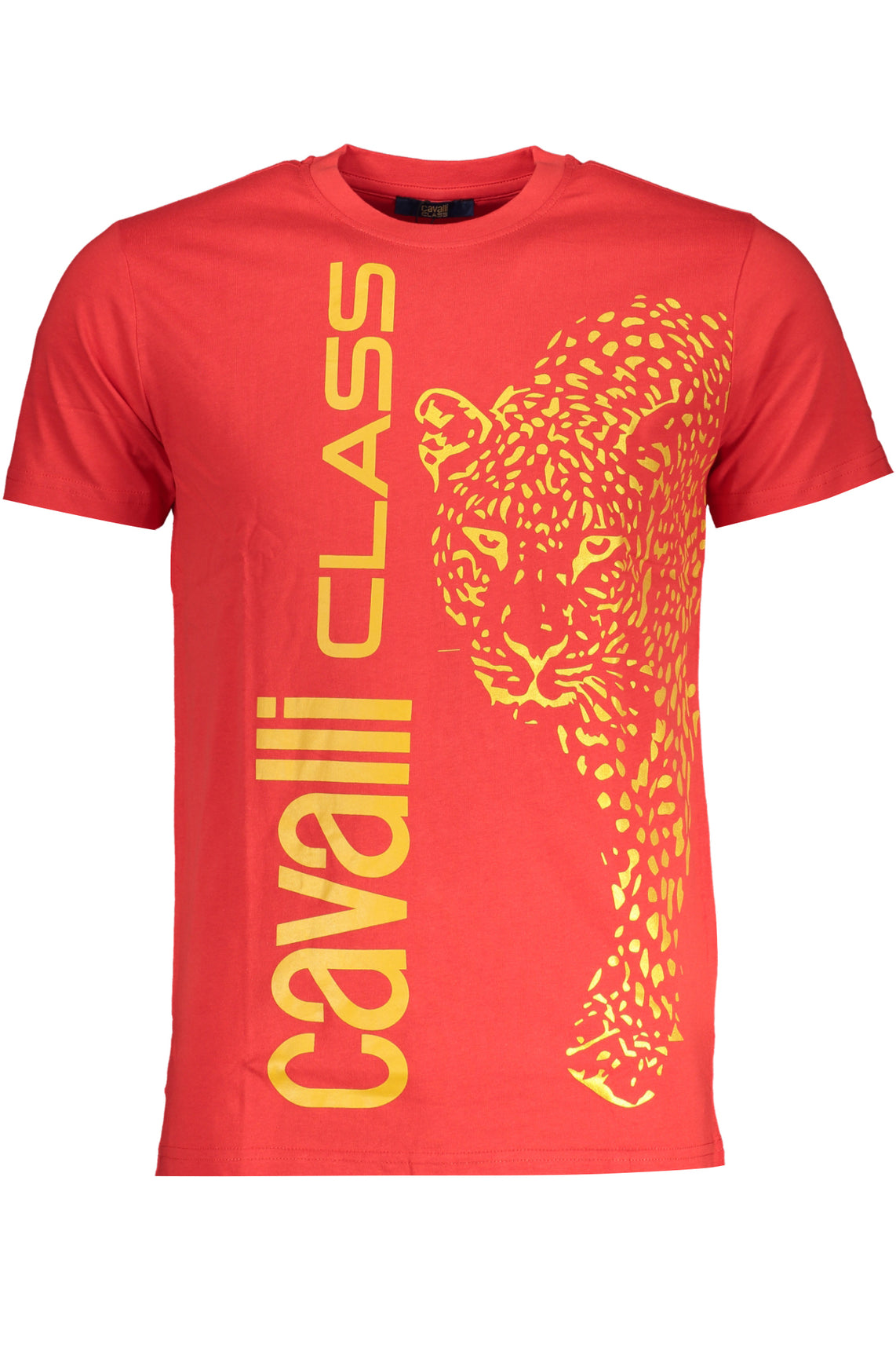 CAVALLI CLASS