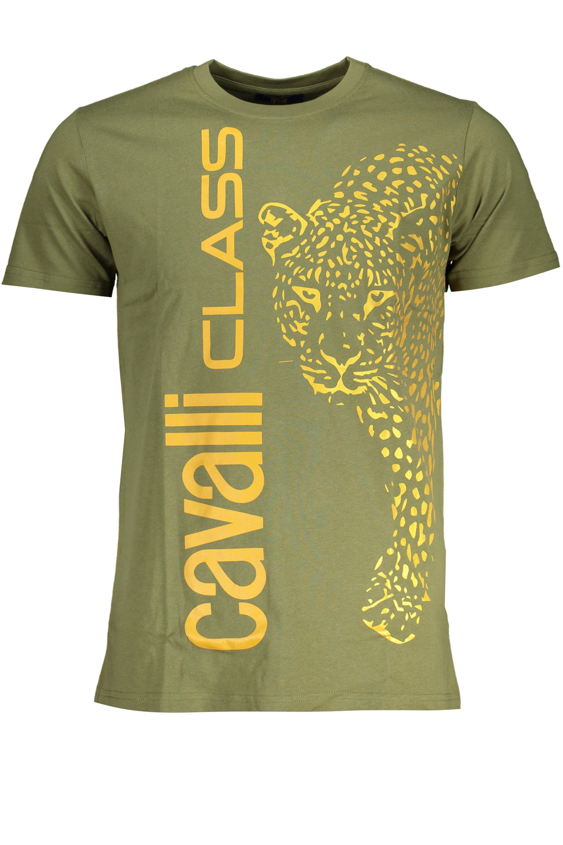 CAVALLI CLASS