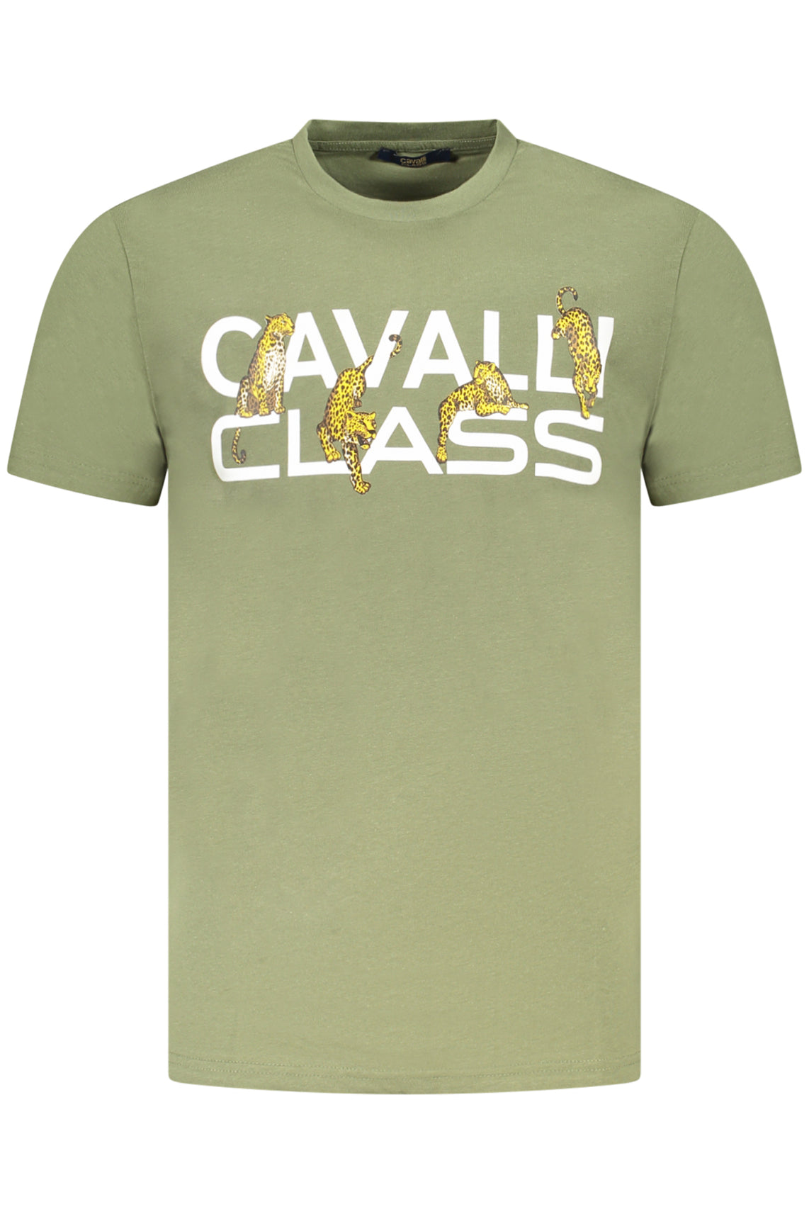 CAVALLI CLASS T-Shirts Green - TXT60MJD060