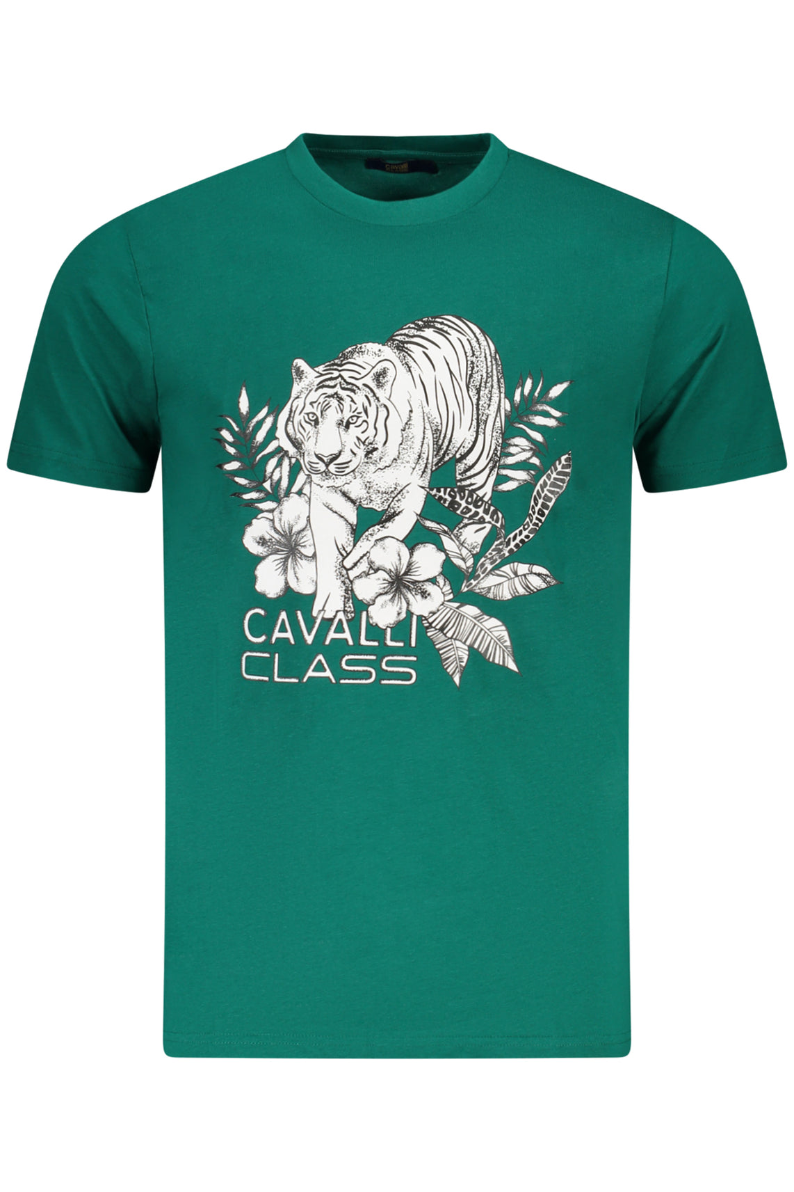 CAVALLI CLASS T-Shirts Green - TXT60RJD060
