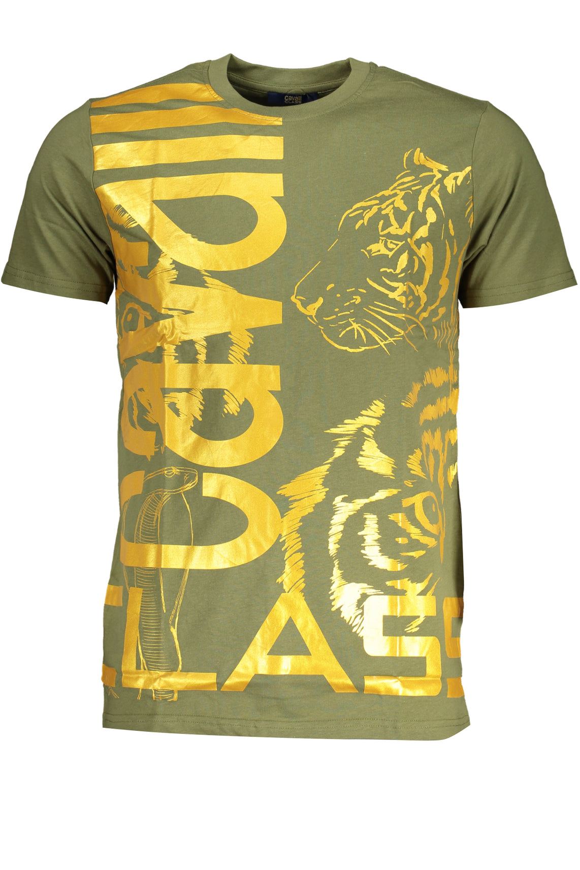 CAVALLI CLASS T-Shirts Green - QXT63DJD060