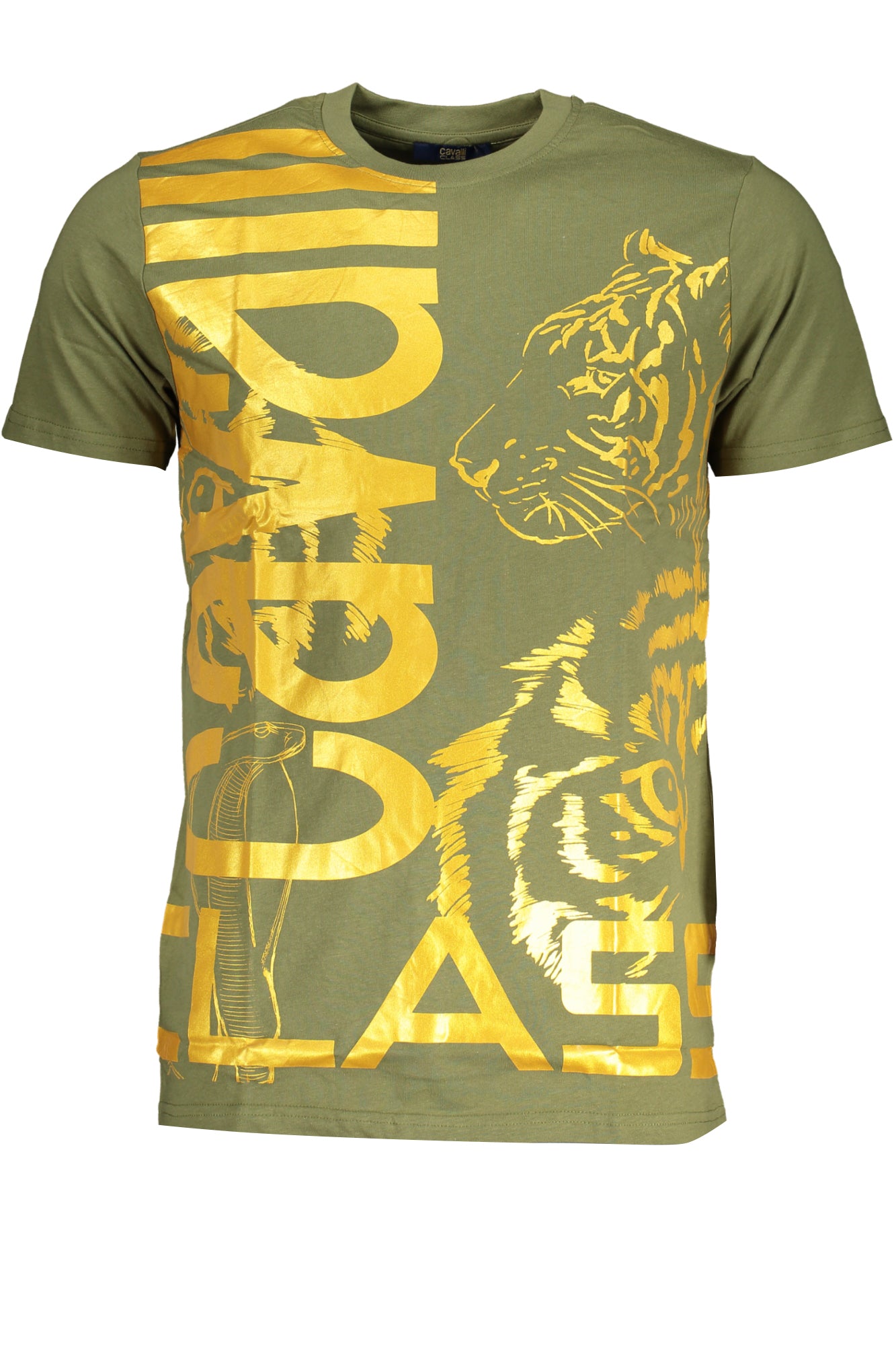 CAVALLI CLASS T-Shirts Green - QXT63DJD060