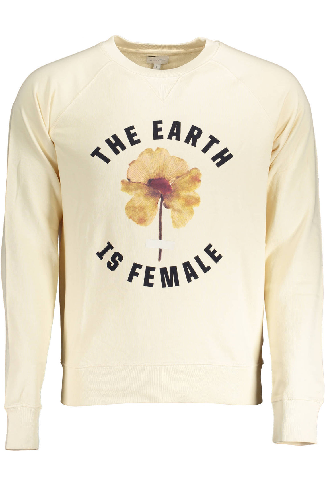 GANT Sweatshirts Beige - 18012091012
