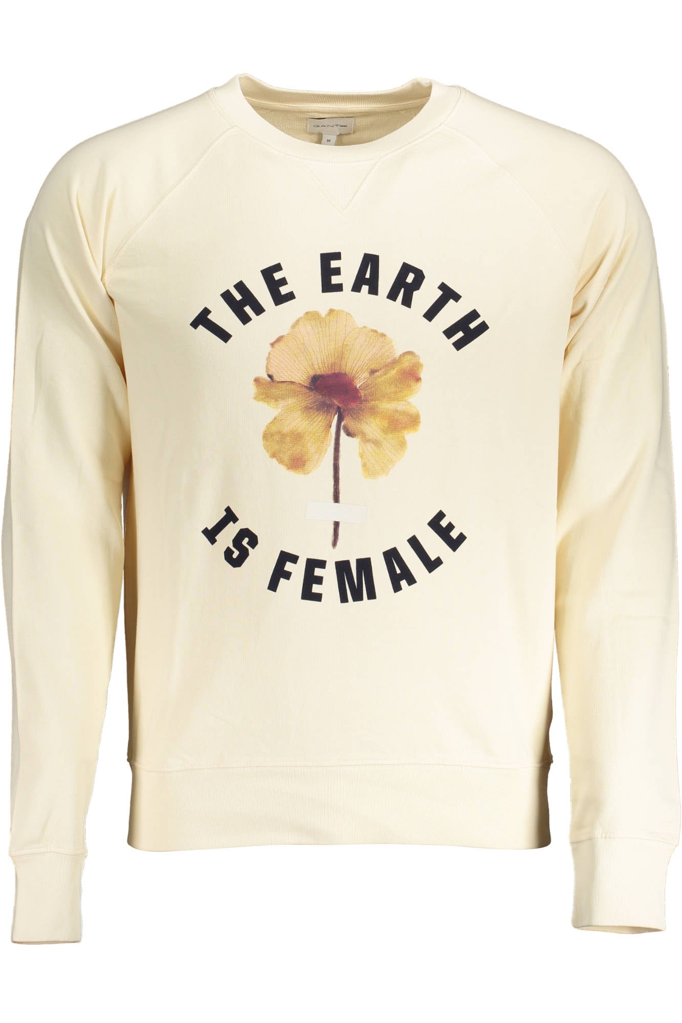 GANT Sweatshirts Beige - 18012091012
