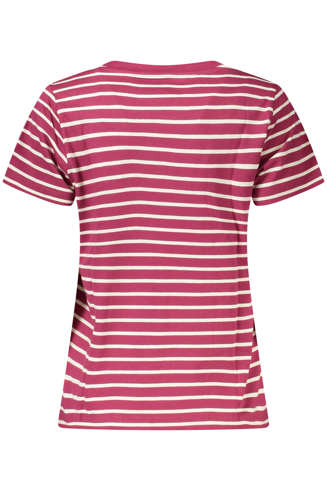 PEPE JEANS T-Shirts Purple - PL5000124MAESTRIPED