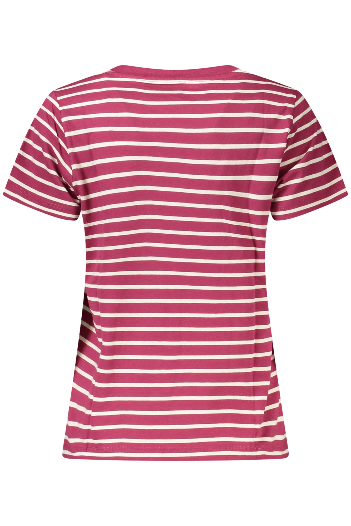 PEPE JEANS T-Shirts Purple - PL5000124MAESTRIPED