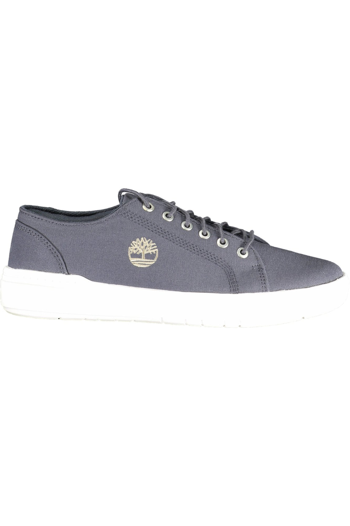 TIMBERLAND Sneakers Blue - TB0A66NN