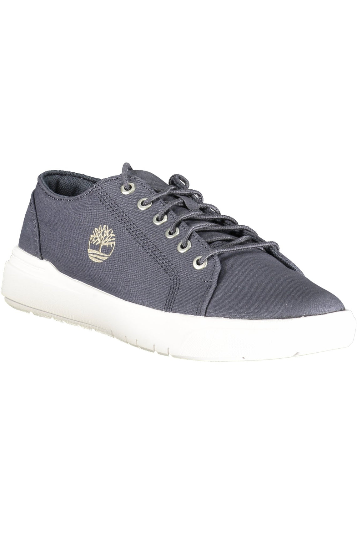 TIMBERLAND Sneakers Blue - TB0A66NN