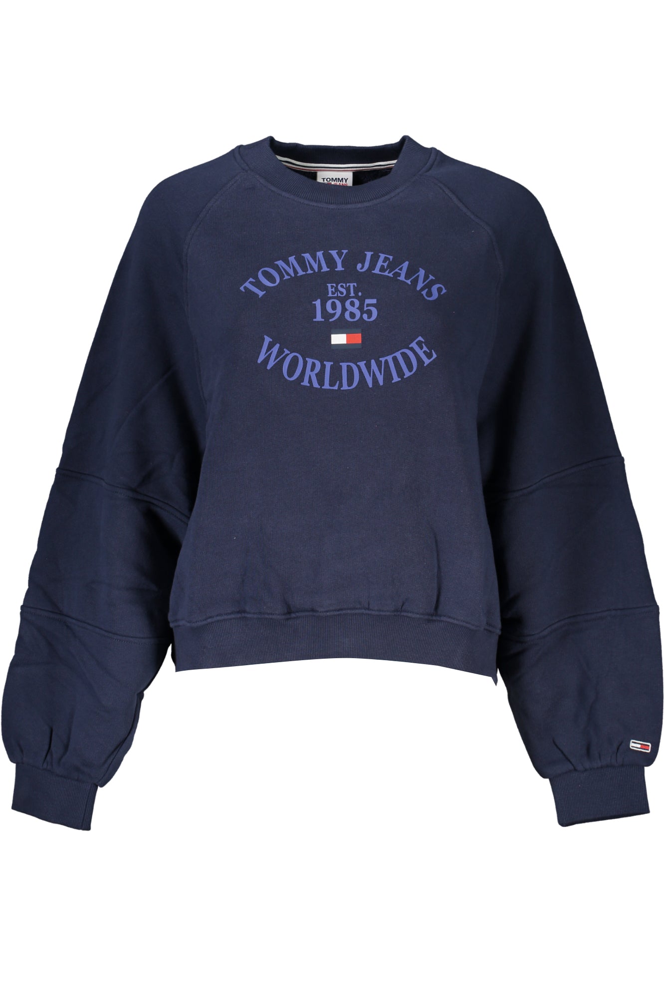 TOMMY HILFIGER Sweatshirts Blue - DW0DW16137
