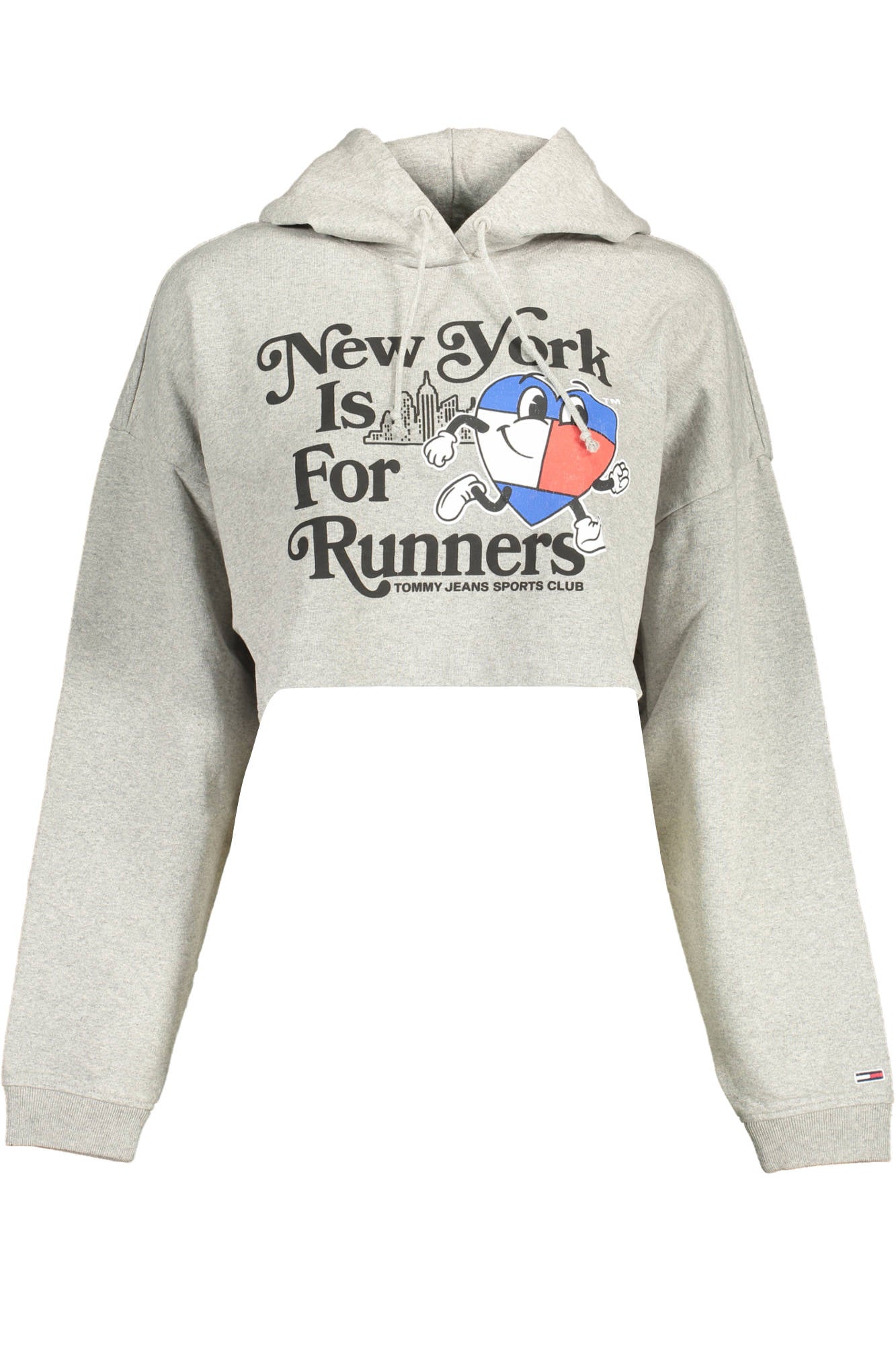 TOMMY HILFIGER Sweatshirts Grey - DW0DW14872
