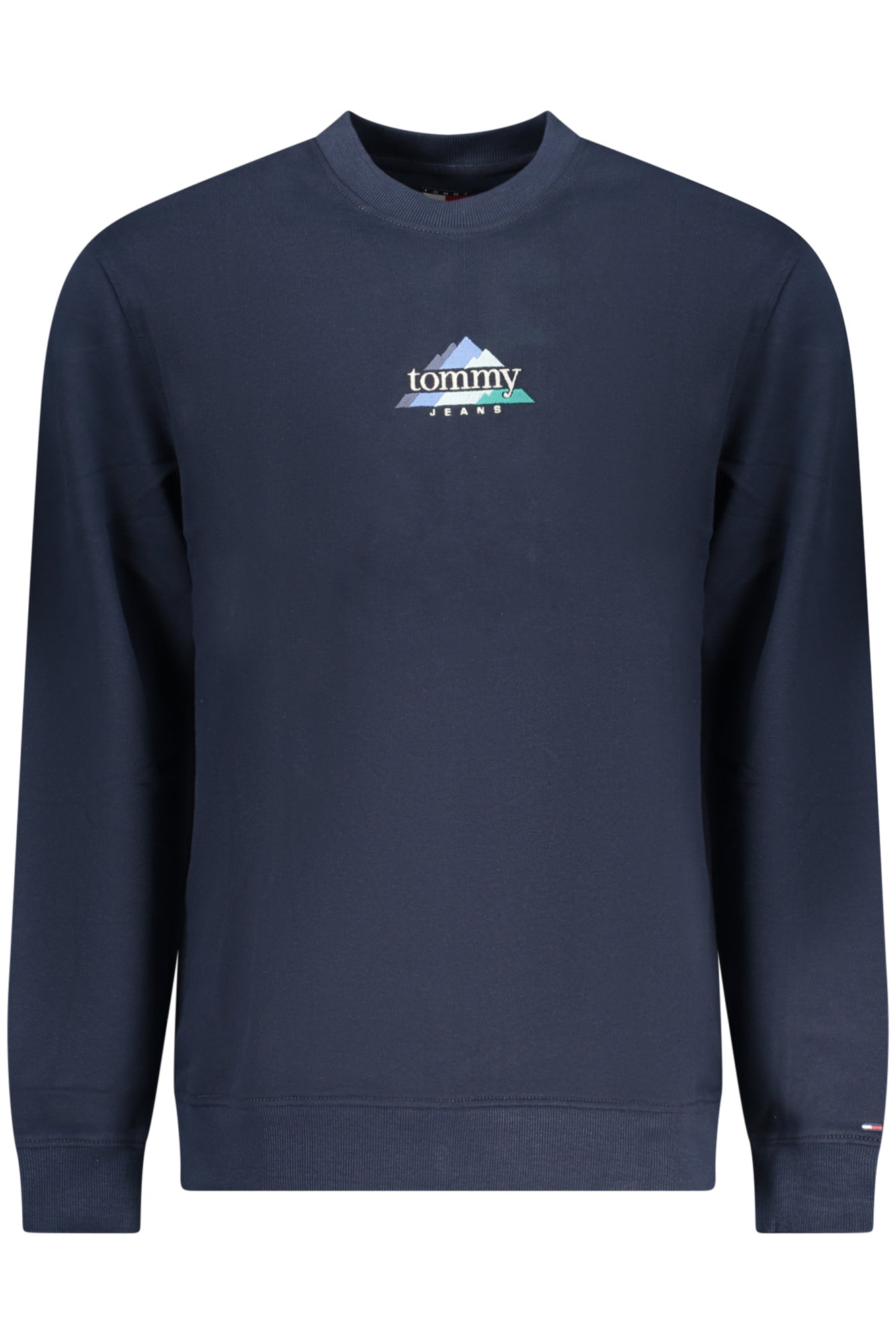 TOMMY HILFIGER Sweatshirts Blue - DM0DM22418