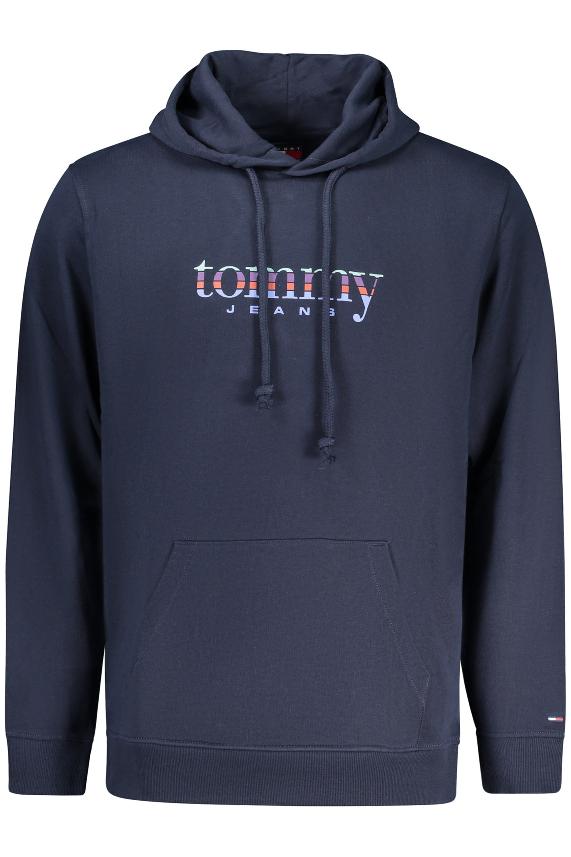 TOMMY HILFIGER Sweatshirts Blue - DM0DM22642