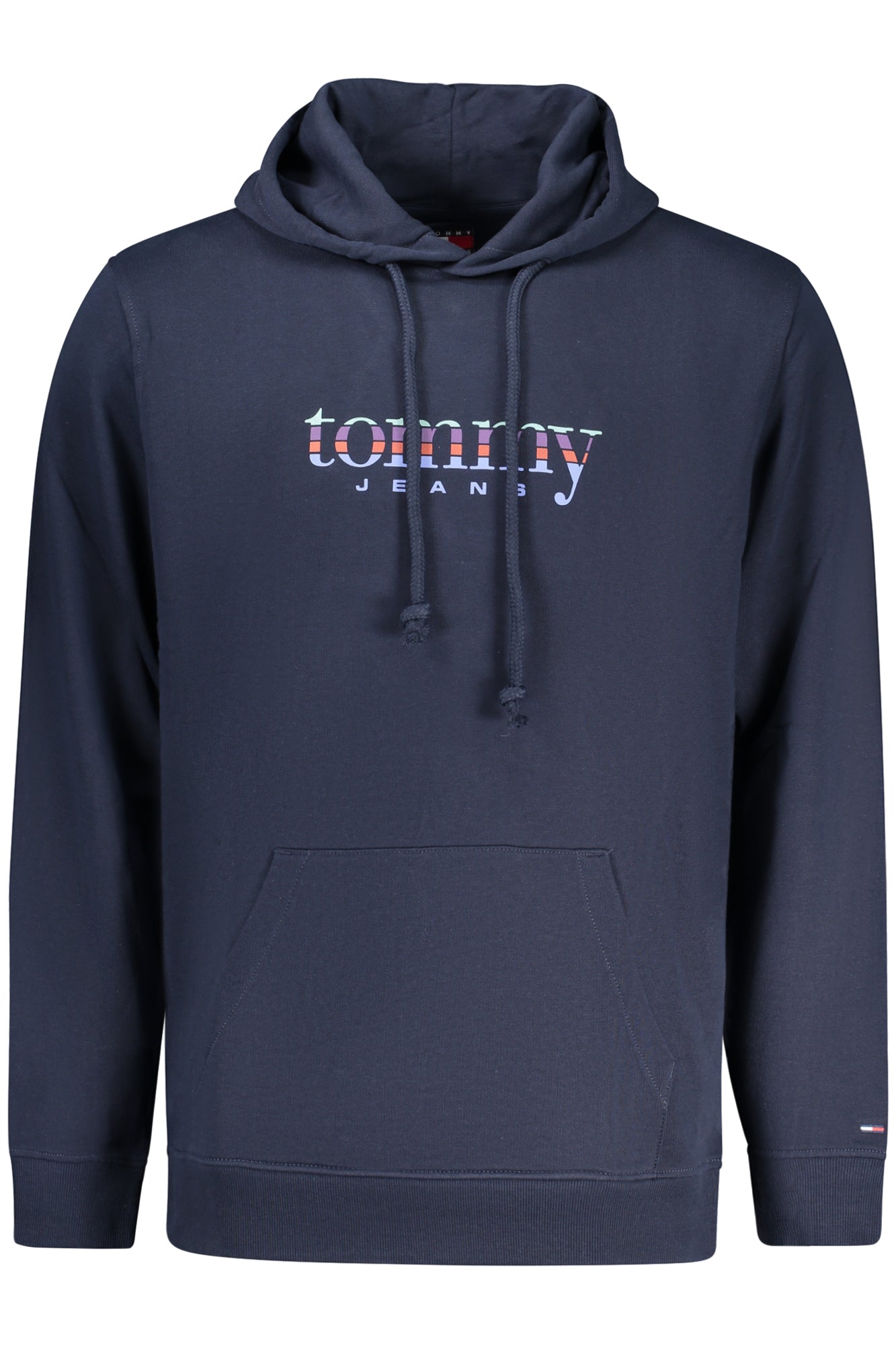 TOMMY HILFIGER Sweatshirts Blue - DM0DM22642