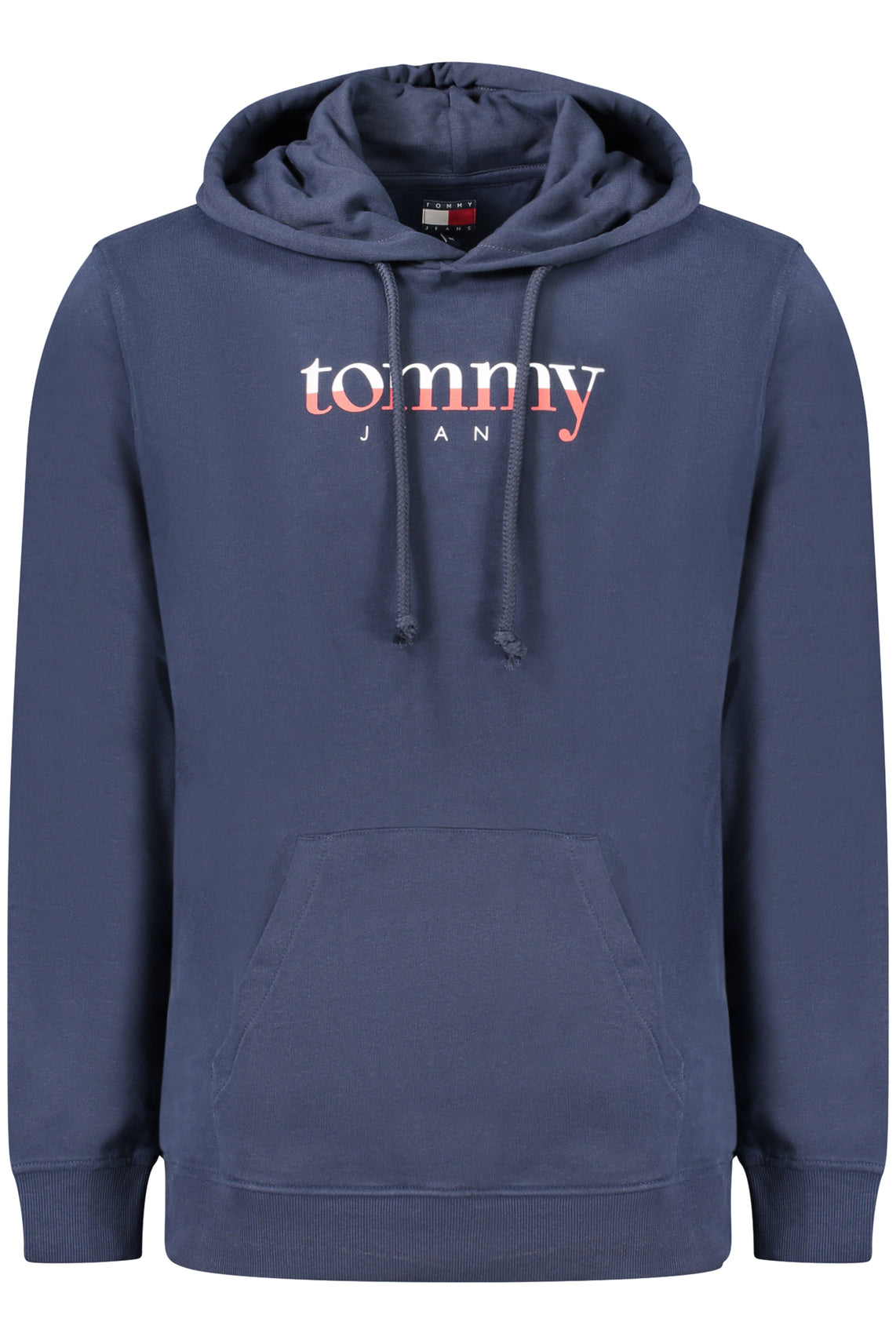 TOMMY HILFIGER Sweatshirts Blue - DM0DM22113