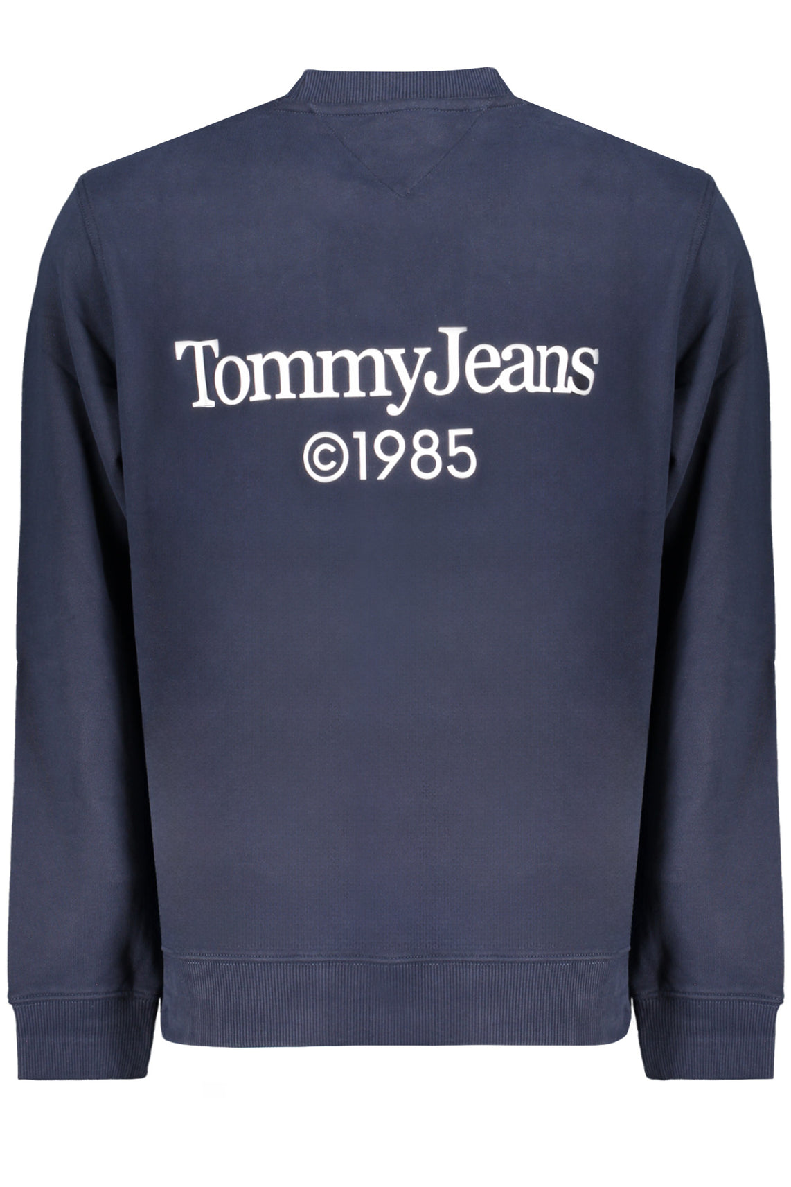 TOMMY HILFIGER Sweatshirts Blue - DM0DM18609
