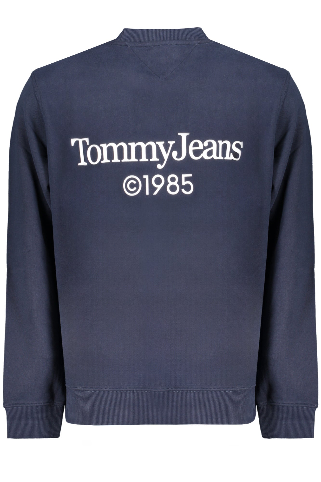 TOMMY HILFIGER Sweatshirts Blue - DM0DM18609