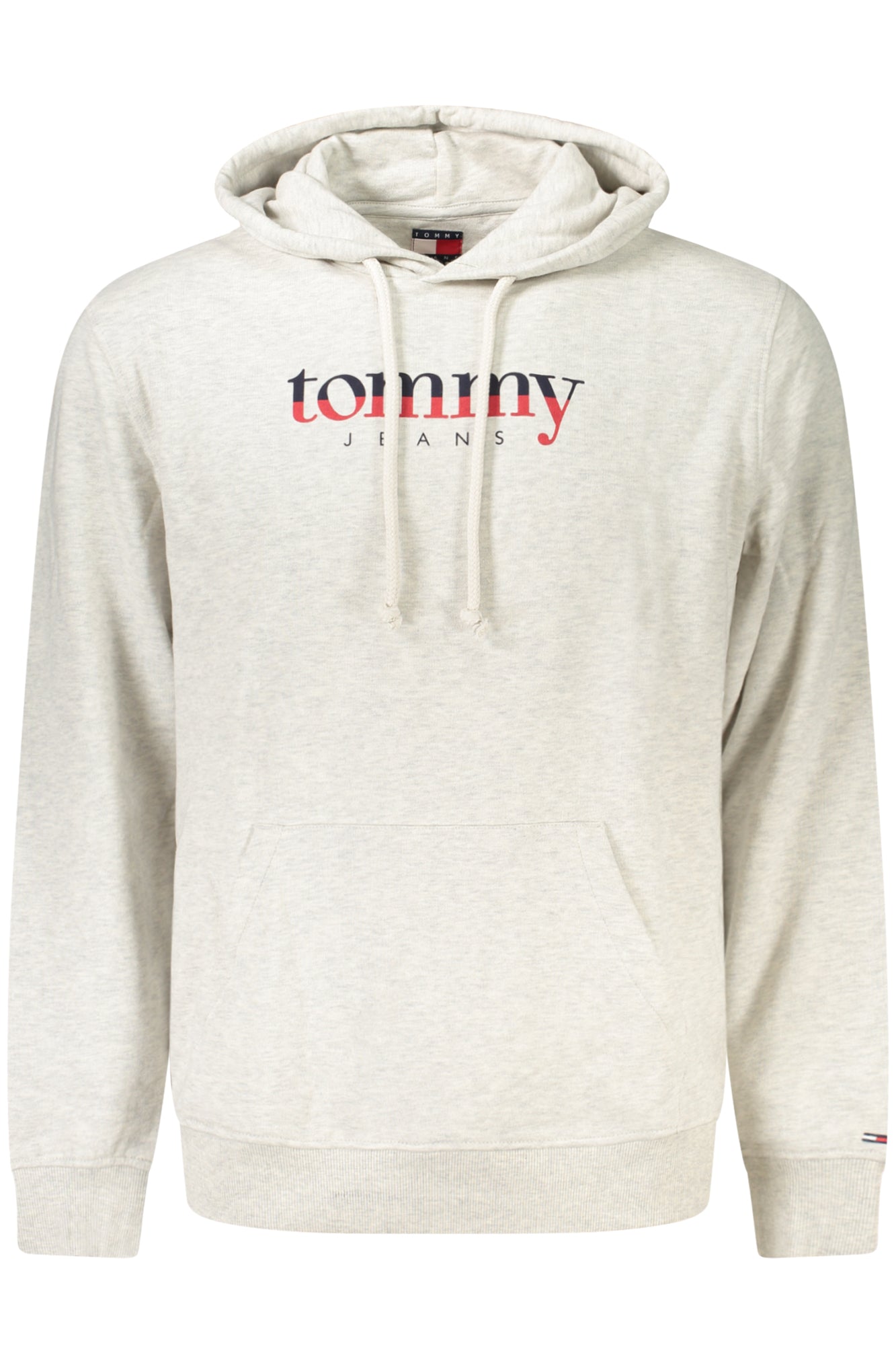 TOMMY HILFIGER Sweatshirts Grey - DM0DM22113