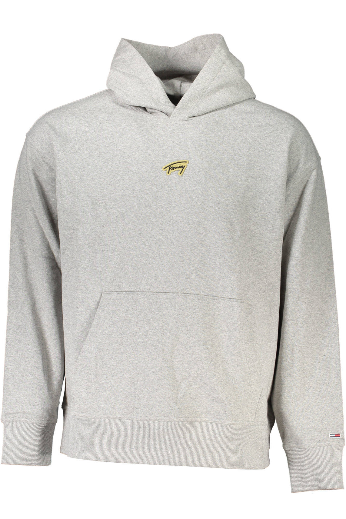 TOMMY HILFIGER Sweatshirts Grigio - DM0DM17785