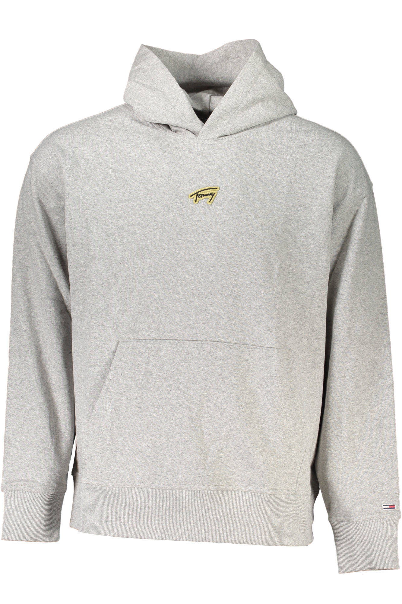 TOMMY HILFIGER Sweatshirts Grigio - DM0DM17785