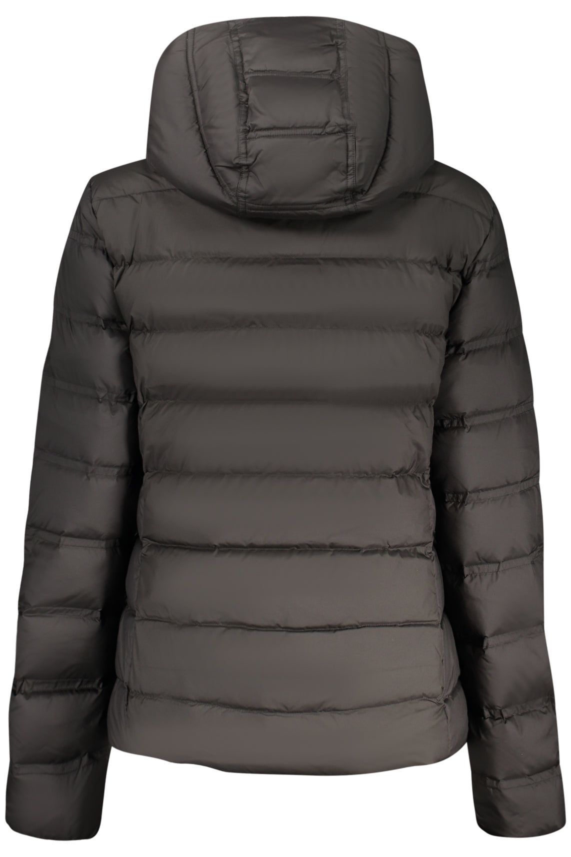 TOMMY HILFIGER Jackets and down jackets Black - DW0DW21617
