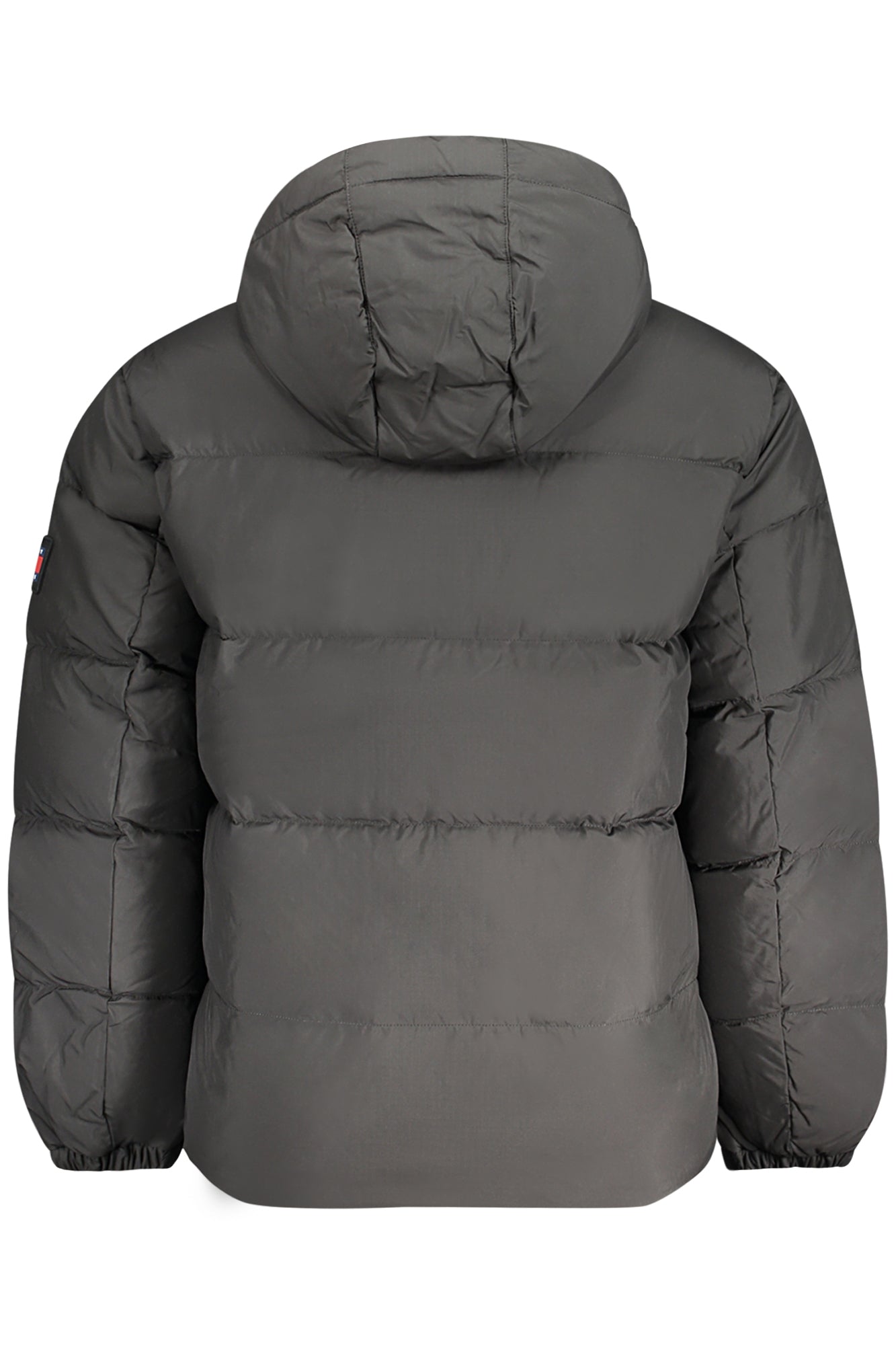 TOMMY HILFIGER Jackets and down jackets Black - DM0DM19786