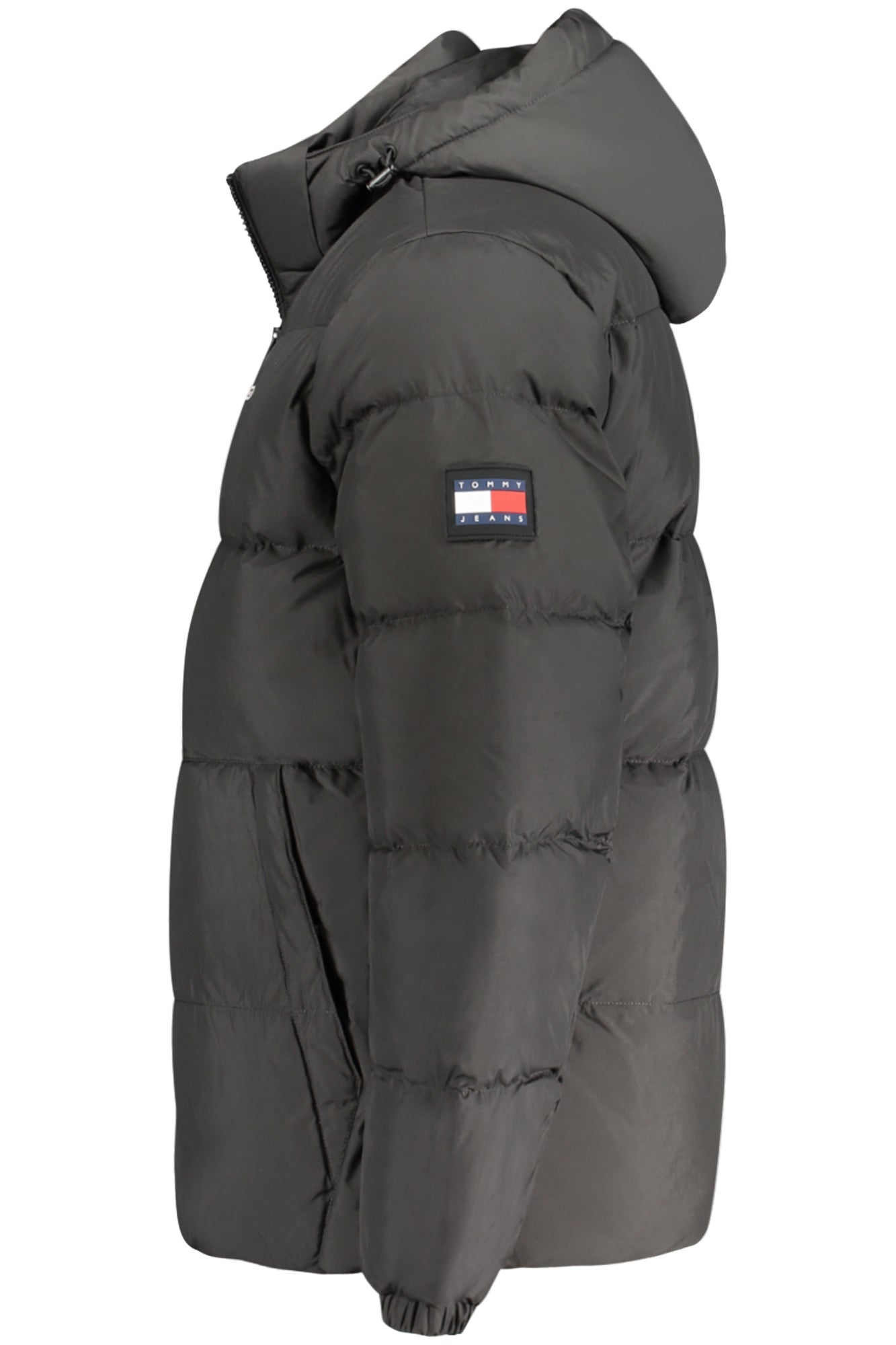 TOMMY HILFIGER Jackets and down jackets Black - DM0DM19786
