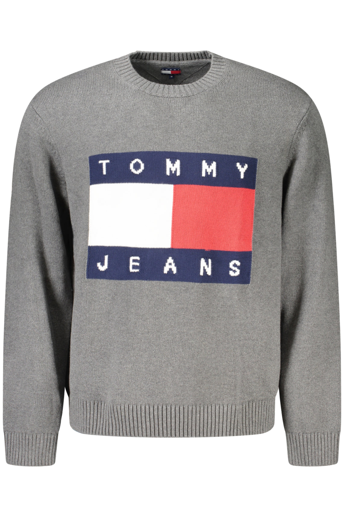 TOMMY HILFIGER Sweaters Grigio - DM0DM22105