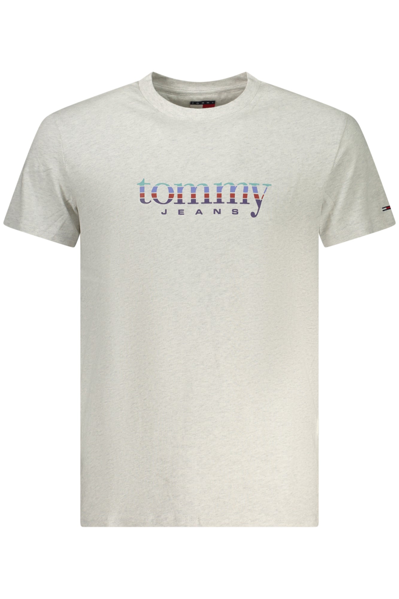 TOMMY HILFIGER T-Shirts Grey - DM0DM22333