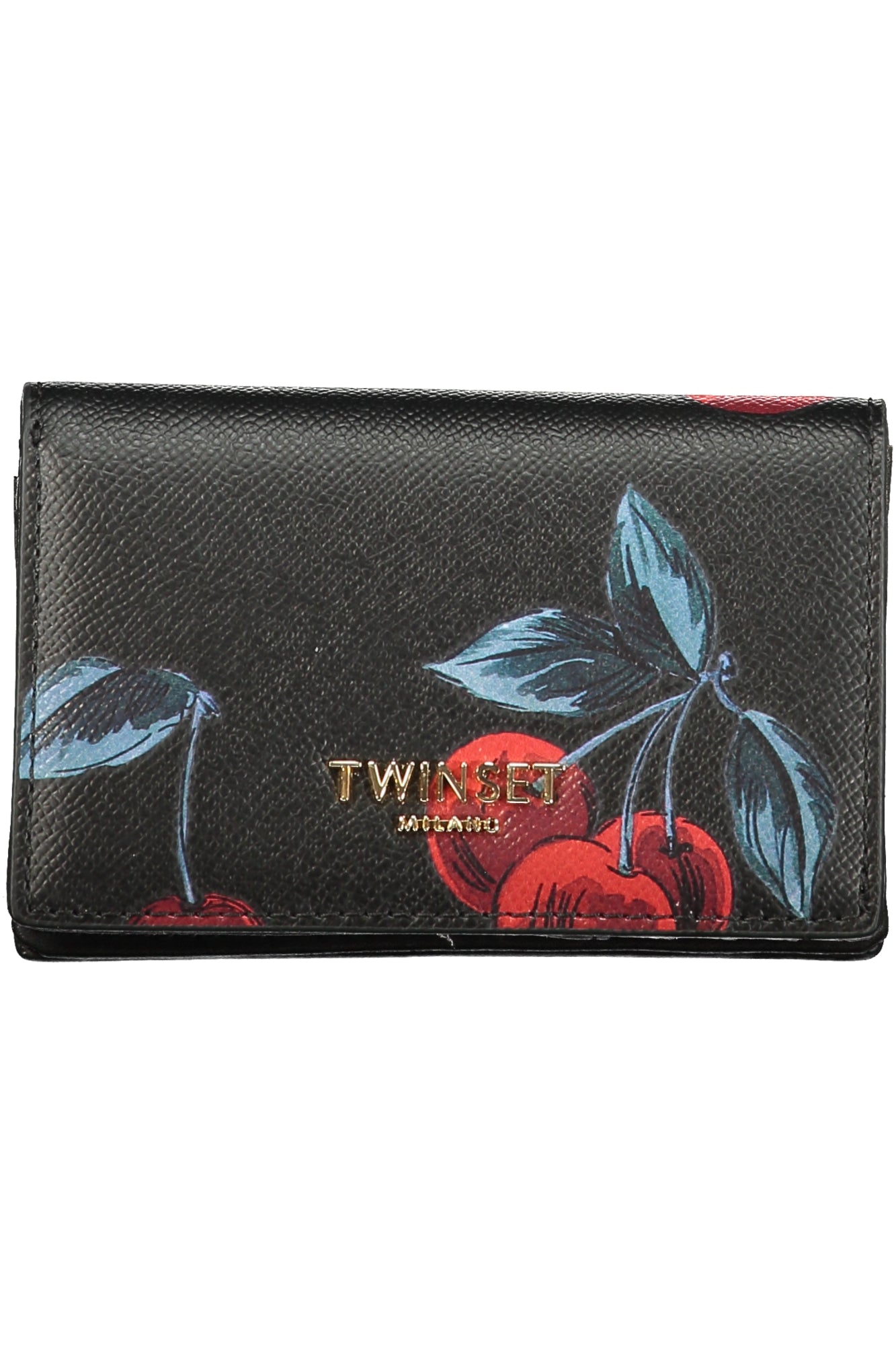 TWINSET Wallets Nero - 261TL8030